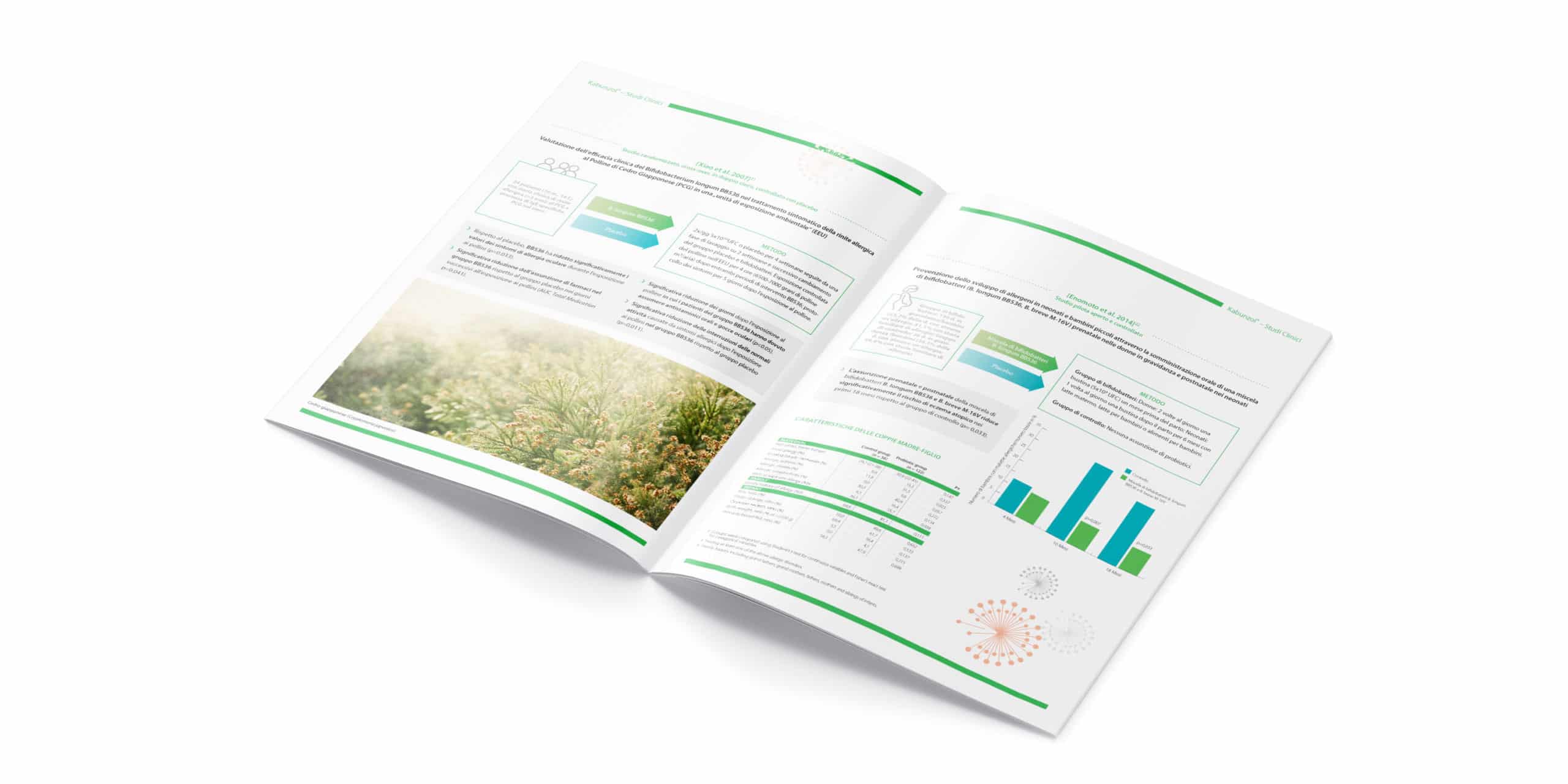 drclaus-kabunzol-brochure-4