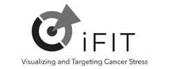 Exzellenzcluster iFIT
