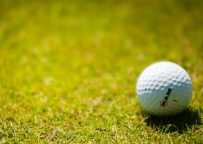 Golfclub Website (WordPress) | GC Rheinhessen