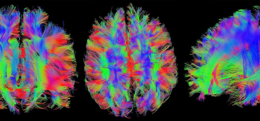 Imagebroschüre | Werner Siemens Imaging Center